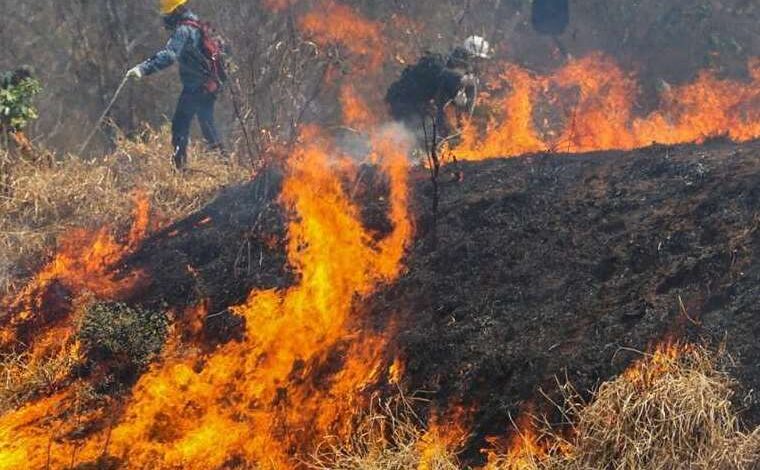 Santa Cruz registra 6 incendios forestales y supera el millón de hectáreas afectadas por el fuego este año